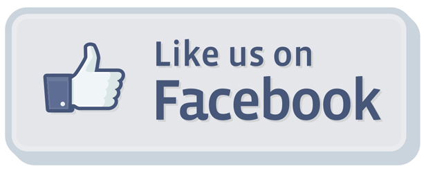 Facebook para empresas. Cómo sacarle todo el partido a tu Fan Page